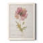 Soft Poppy - peinture sur toile encadrée-61358179-61358181