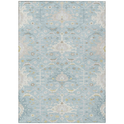 Machine Washable Indoor/Outdoor Chantille ACN2859 Global Rug