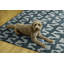 Tapis lavable intérieur / extérieur turquoise / vert Kivett-1034642868