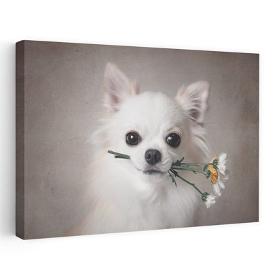 Cute Chihuahua Flowers Abstract Contemporary Daisy Dog Flower Landscape Wall Art Print 1 Piece Wrapped Canvas Wall Art