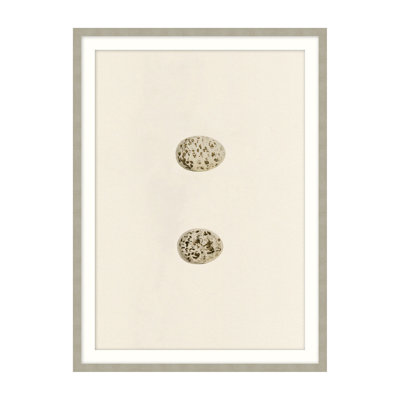 Unhatched 4 par Studio L57 Nouvelle - Illustration d'un cadre photo