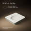 Lavabo de salle de bain rectangulaire sur pied 24 "Claude par Studio McGee-128974113-128974115