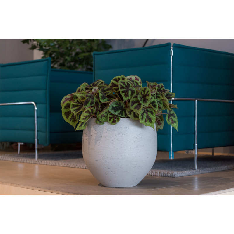 Orbe M, gris délavé, Gris délavé, H 16,93 po x l 18,9 po x P 18,9 po