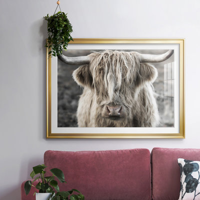 Highland Skye, reproduction d'art encadrée