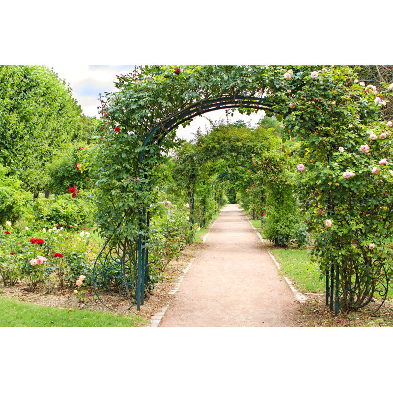 Rose Arches - Wrapped Canvas Print, 30cm H x 46cm W x 3.8cm D