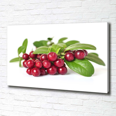 Cowberry - Wrapped Canvas Print