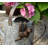 Gerow Three Toed Sloth Pot Hanger Ornament