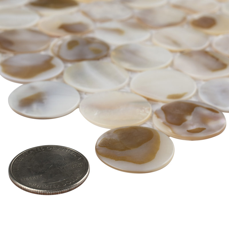 Conchella Penny Natural 11-1/4" x 11-5/8" Natural Shell Mosaic Tile