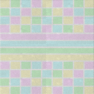 Checkered Indoor Rug
