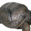 Aerick Weather Resistant Garden Statue