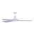 Aglaea 52'' Ceiling Fan-793165842