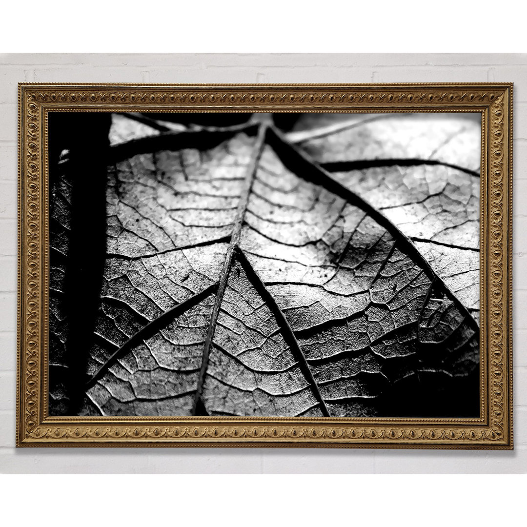 Gerahmtes Wandbild Dry Leaf Gold And Gold