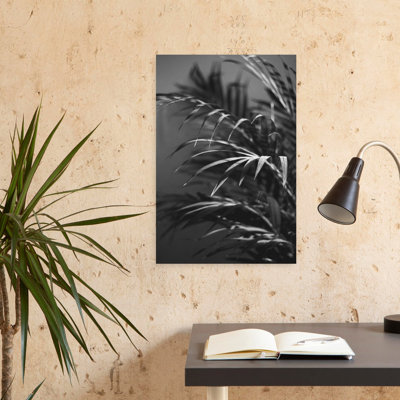 Art contemporain plante noire