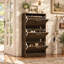 Armoire de rangement pour 10 à 10 paires de chaussures-5234376
