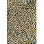 The Rug Company X Paul Smith Axis-1729022092-1729022093