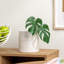 Vase de table en céramique Adelya-47998287