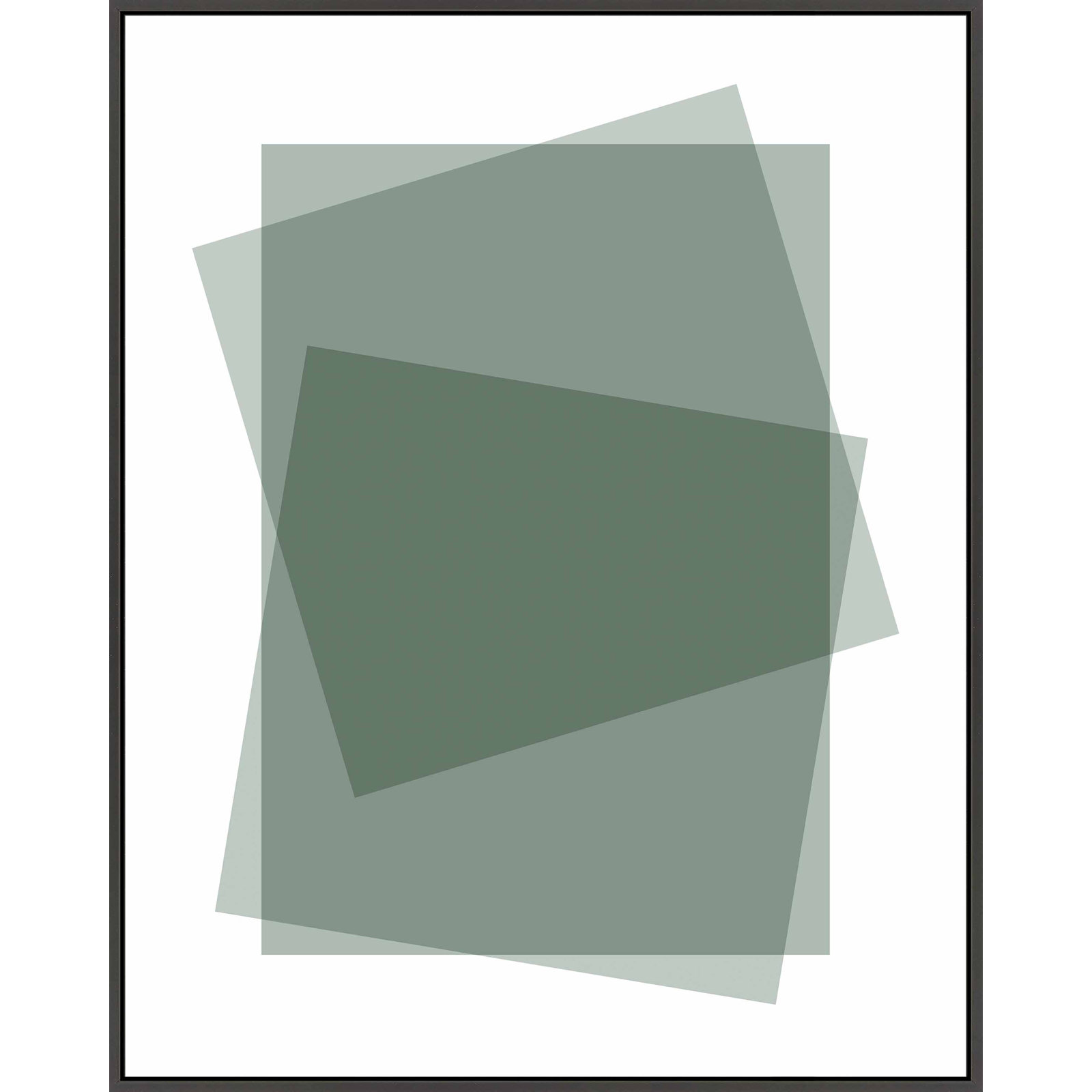 Kami "Sage" Print by Jacques Pilon, Black Framed Canvas, 25" H x 20" W