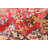 Newson Red Rug 7'7" x 11'5"