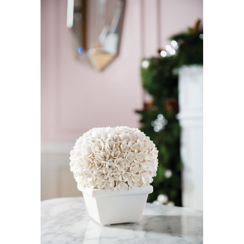Boston Boxwood Topiary Sculpture