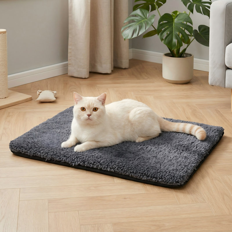 Lit pour chat auto-chauffant, tapis pour chien auto-chauffant avec housse amovible et fond antidérapant, coussin chauffant pour animal de compagnie très chaud, lavable non électrique, 24 po x 18 po