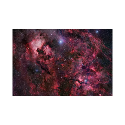 Cygnus Mosaic I 1 Piece Wrapped Canvas Wall Art