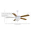 52" America 5-Blade Ceiling Fan-1492173624