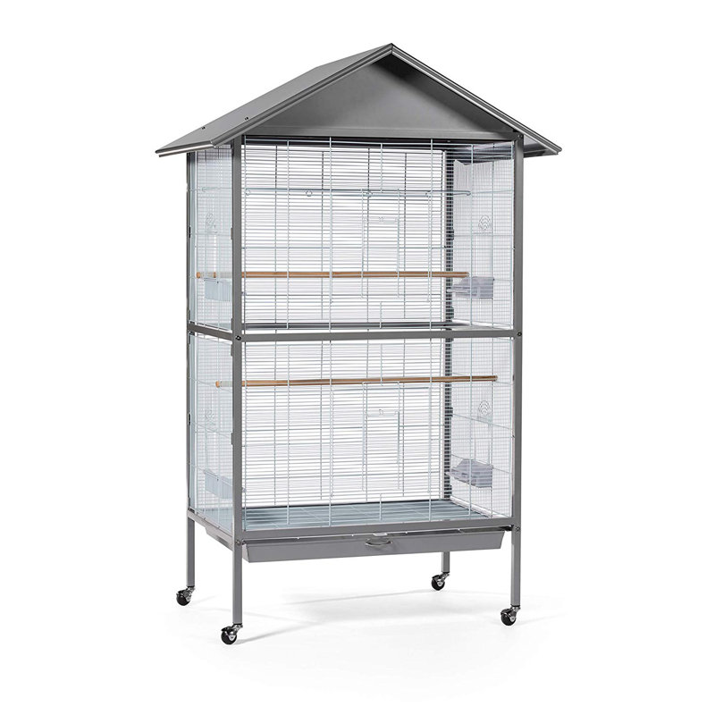 Grande cage de vol Chao