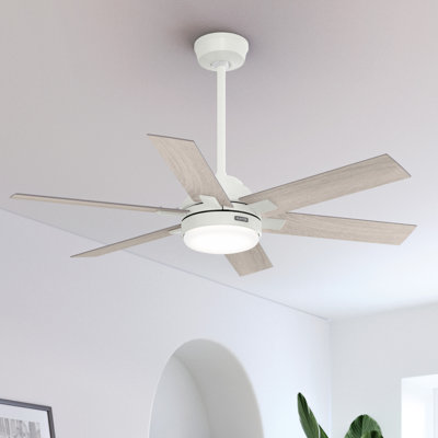 Ventilateur 52 po avec ensemble d'éclairage et télécommande ENERGY STAR® 52 po Georgetown