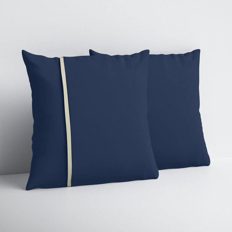 Idina Outdoor Square Pillow Cover & Insert, 18" x 18"