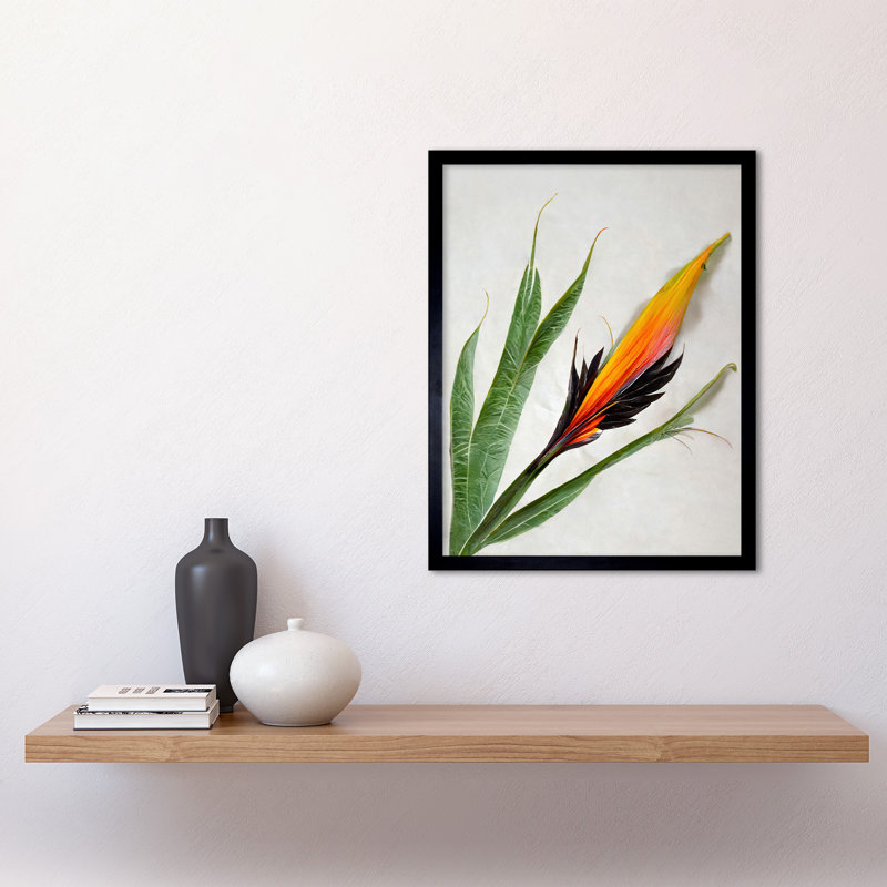 Bird Paradise Tropical Plant Flower Leaves - Single Picture Frame Print