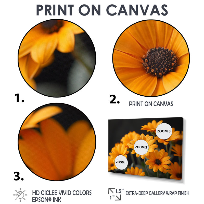 Monochromes jaunes et noirs marguerites II - marguerites, art mural, H 12 po x l 20 po, Cadre flottant noir