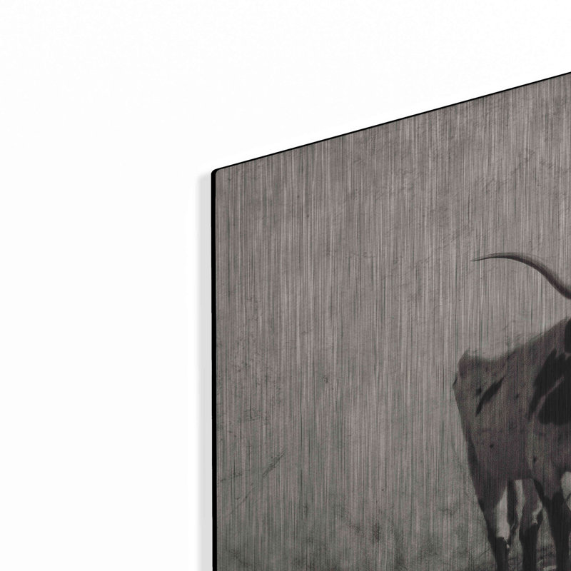 «Longhorns» par Debra Van Swearingen