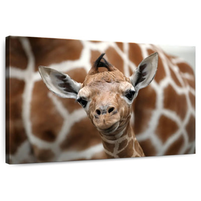 Brampt Giraffe And Baby