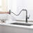 Single Handle Kitchen Faucet with Accessories-93486581
