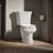 Wellworth 1.28 GPF Water Efficient Round Two-Piece toilet (Seat Not Included)-10980013-101431273
