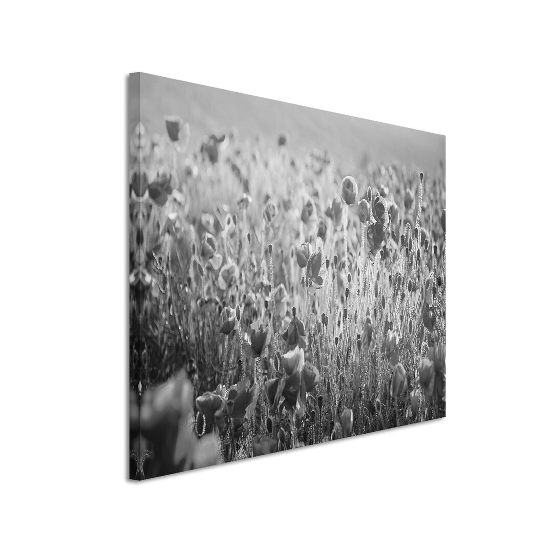 Leinwandbild „Mohnblumenfeld“, Fotodruck