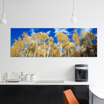 «Low-Angle View of Aspen Trees, Uncompahgre Nationa Forest, Colorado, USA», reproduction de photo sur toile