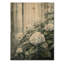 Champ d'hortensias dans un matin brumeux - impression d'hortensias sur bois de pin naturel-1453299035