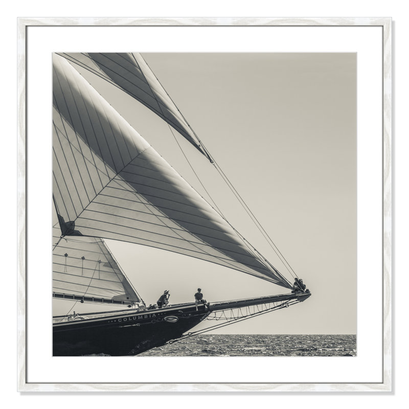 Amaryl Catching the Sea Breeze by Danita Delimont - Picture Frame Photograph, 33" H x 33" W x 1.13" D, White Framed