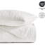 Ensemble de courtepointe 100% coton à motif cachemire 3 pièces-116732165-124488312
