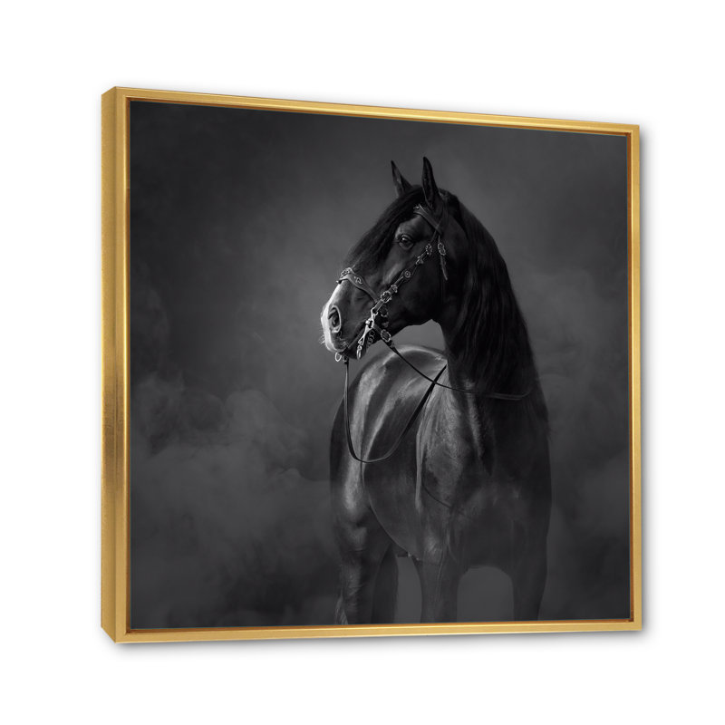 Portrait d'un cheval andalou noir - reproduction d'art sur toile traditionnelle, H 36 po x l 36 po x P 1 po