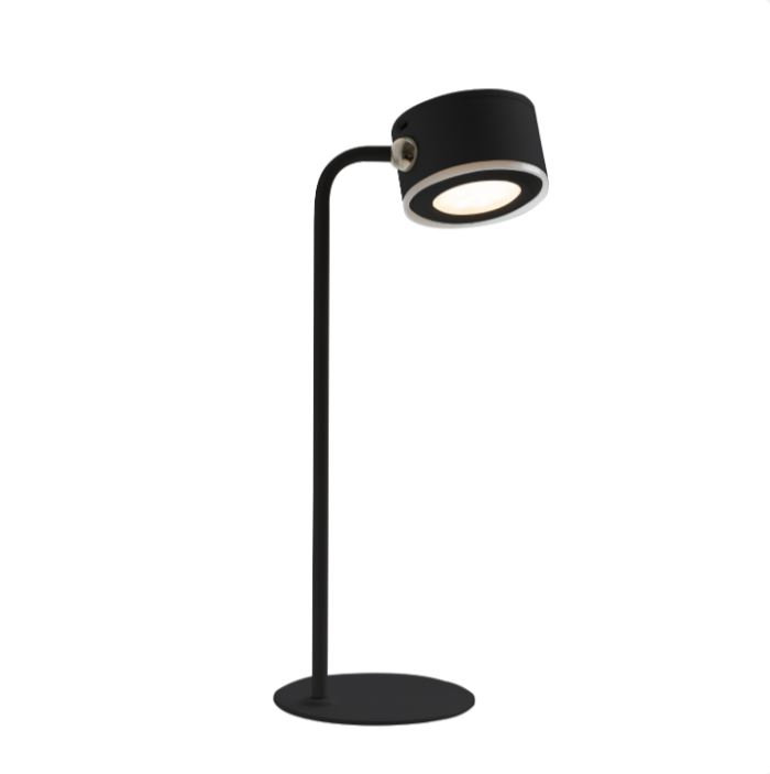 Sabesan Metal Desk Lamp, Black