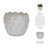 Stoneware Ceramic Planter with Embossed Scale Texture and Scalloped Rim Decorative Modern Pot-602994538