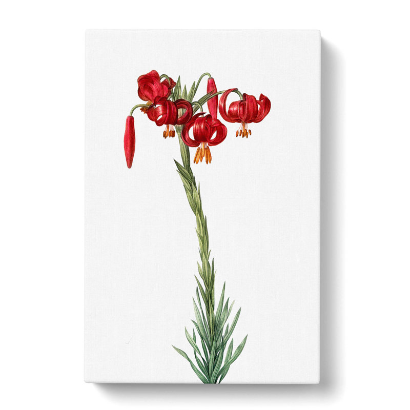 Lily Flowers by Pierre-Joseph Redoute - Wrapped Canvas, 76cm H x 50cm W x 3cm D