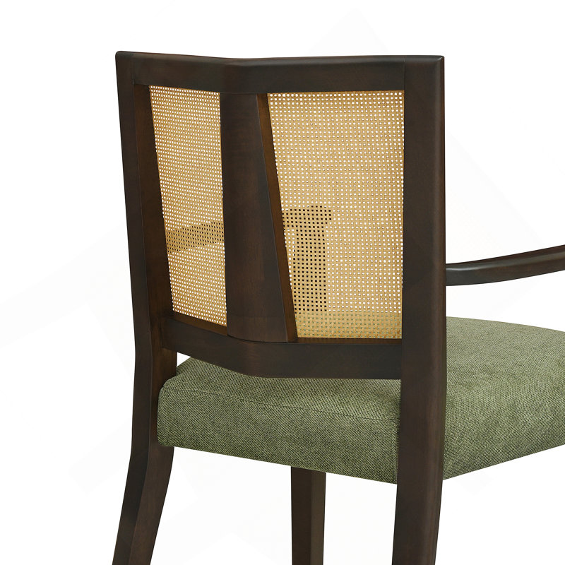 Ensemble de 2 chaises de salle à manger (brun foncé et vert), Marron foncé, Vert