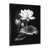 Black Single Picture Framed
