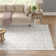 Oriental Indoor Rug