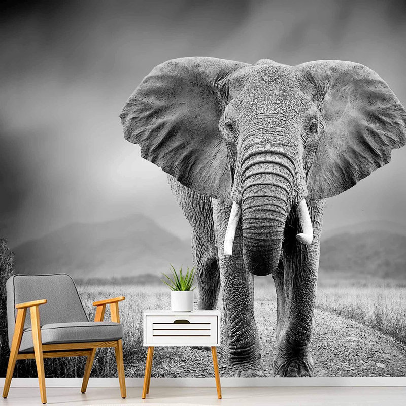 Elephant43, 100" L x 144" W