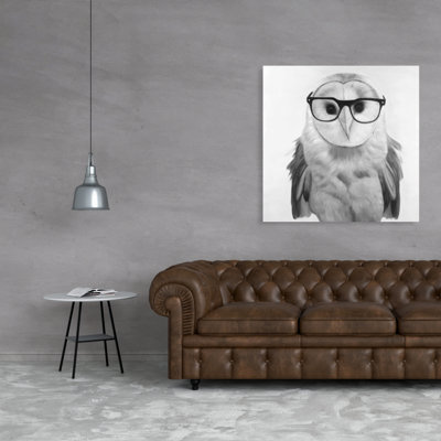 Realistic Barn Owl with Glasses Canvas  Home Decor Art