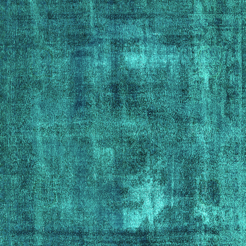 Dalaila Oriental Indoor Rug, Square 4'